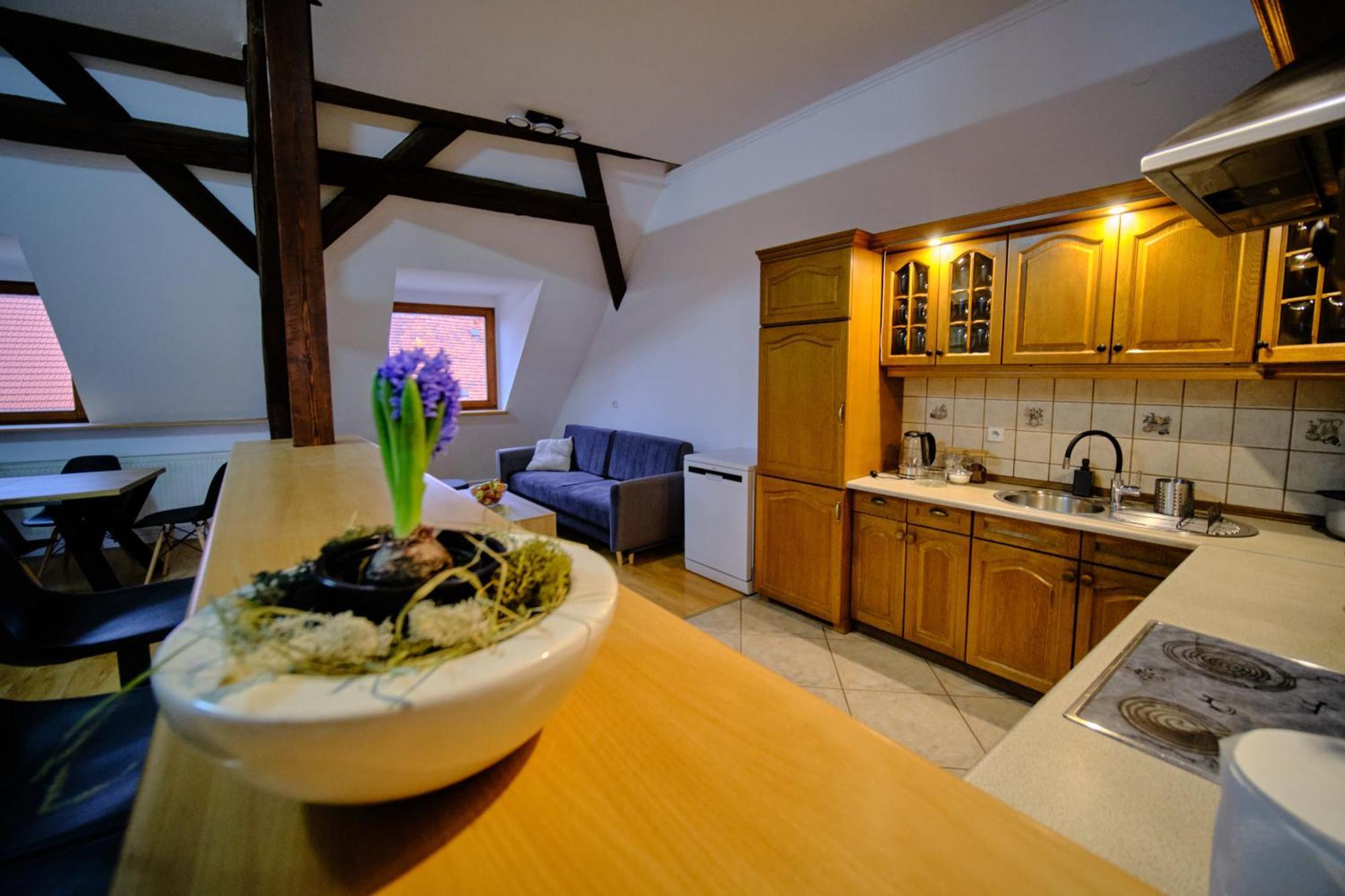 Urania Apartamenty Kowary Pokoj fotografie